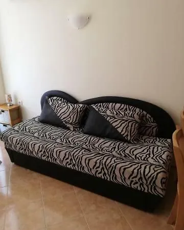 Apartment 66